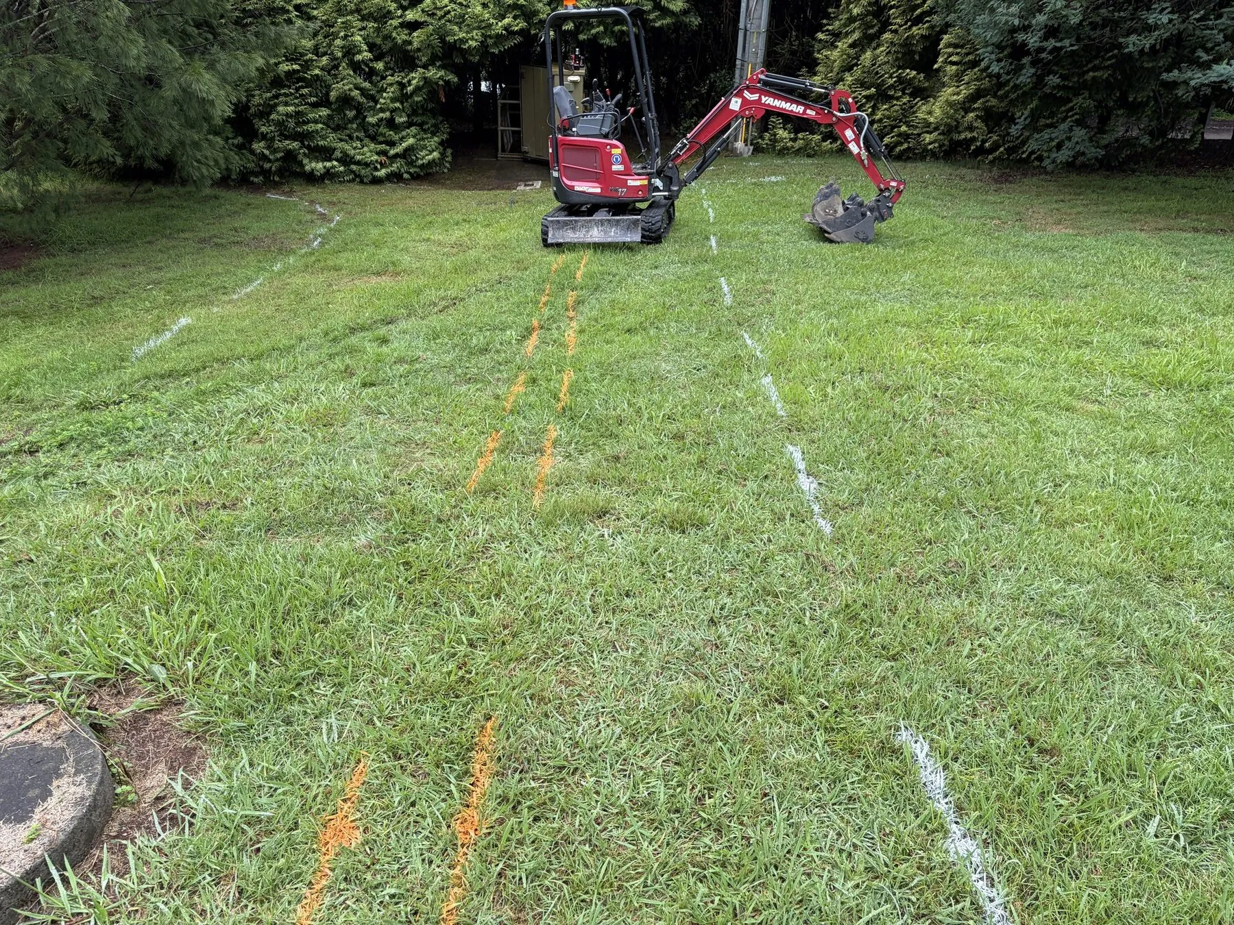 Orange and white locate lines sprayed across a lawn in front of a red mini excavator