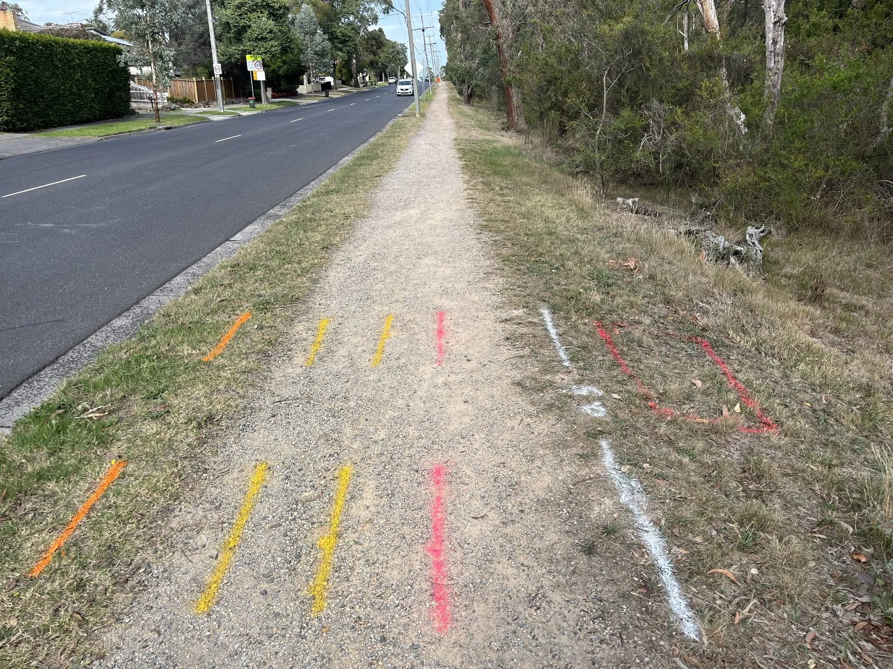 Orange, yellow, pink, red and white locate lines sprayed across a gravel path and dry grass verge beside a road