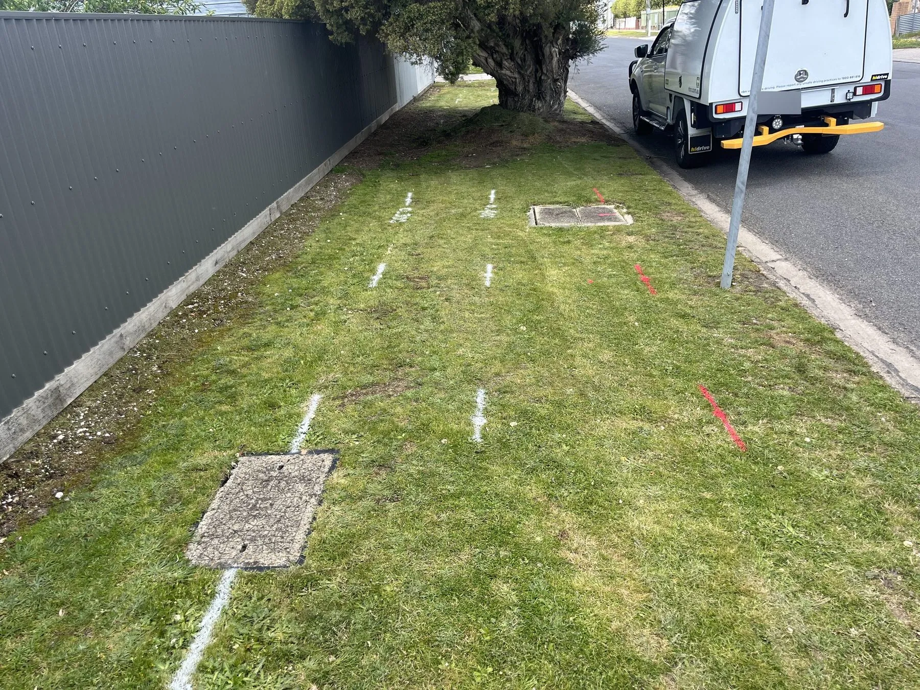 White locate lines and red marks sprayed across a grass nature strip between two pit lids